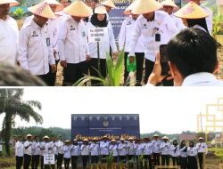 Dukung Program Asta Cita, Lapas Narkotika Rumbai melakukan Tanam Bibit Kelapa