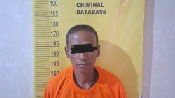 Unit Reskrim Polsek Langgam Aman Pelaku Illegal Logging di Langgam