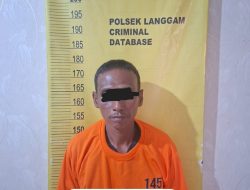 Unit Reskrim Polsek Langgam Aman Pelaku Illegal Logging di Langgam