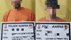 Polsek Kampar Amankan Pelaku Pencurian Sawit di Desa Alam Panjang
